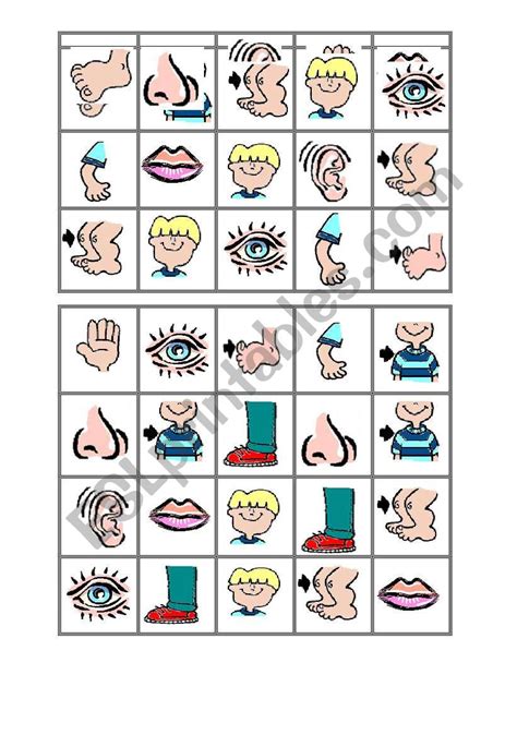 Body Bingo 3 Esl Worksheet By Mishuna