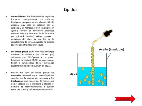 PPT Los Lípidos PowerPoint Presentation free download ID 4865133