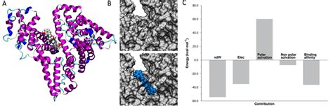 A Mthpc Binding Pocket In Hsa Identified By The Docking Protocol