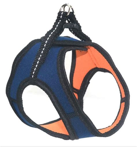 ᐉ Шлея для тварин Zoo-hunt Фітнес №1 неопренова Синій (1122) • Краща ...