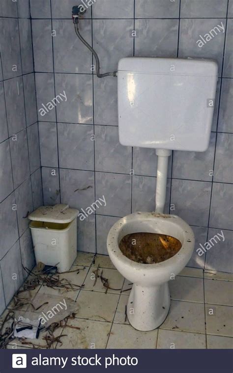 Casual gas station bathroom : r/wtfstockphotos