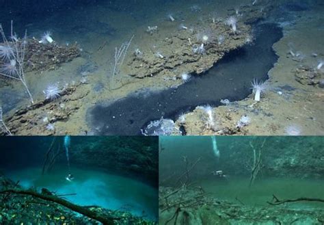 Fakta Dibalik Fenomena Sungai Dalam Laut