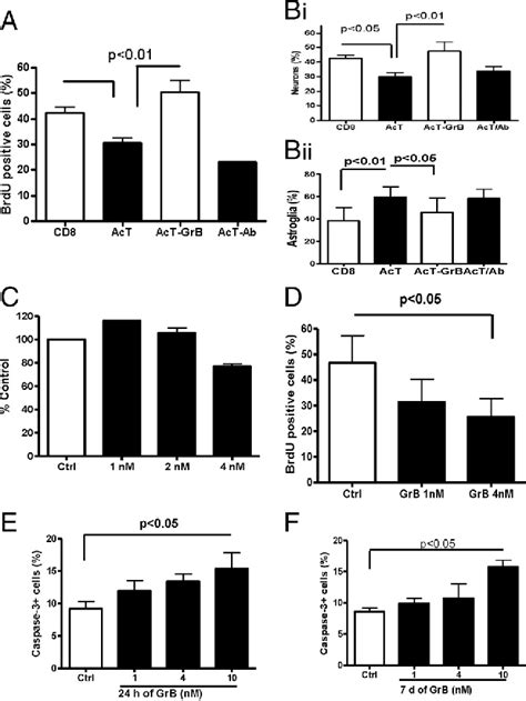 Figure 1 From Activated T Cells Inhibit Neurogenesis By Releasing