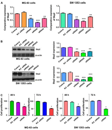 Inhibition Of Skp2 Suppresses The Proliferation And Invasion Of