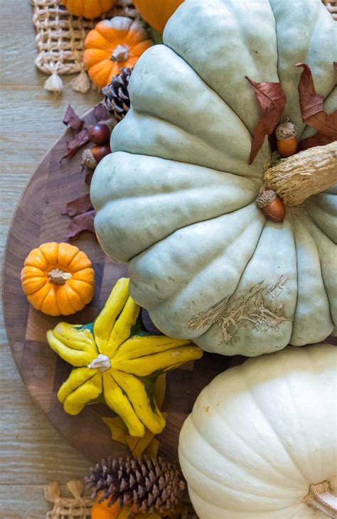 How To Preserve Uncarved Pumpkins For Decoration Mom Can Do Anything