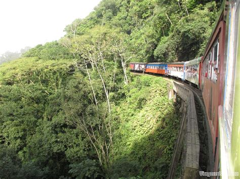 Passeio De Trem Pela Serra Do Mar Paranaense Viagens E Beleza