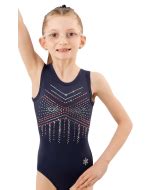 Stars And Stripes Gymnastics Leotard