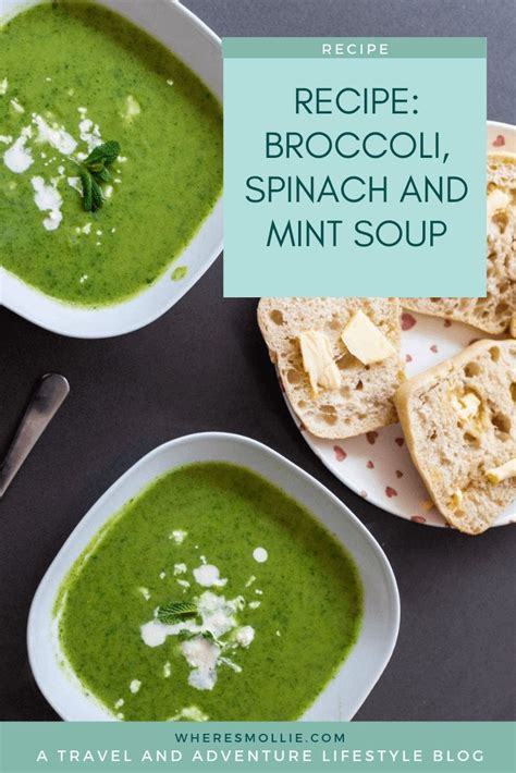 Recipe Broccoli Spinach And Mint Soup Soup Recipes Winter Soup Recipe Brocolli Soup Recipes