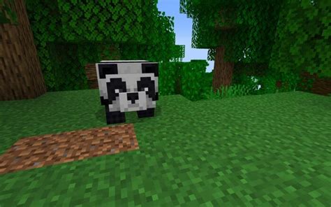 How To Breed Pandas In Minecraft 12Tails