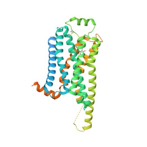 Rcsb Pdb Ggj Locally Refined Cryoem Structure Of Receptor From Beta