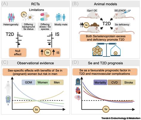 Selenium Diabetes And Their Intricate Sex Specific Relationship