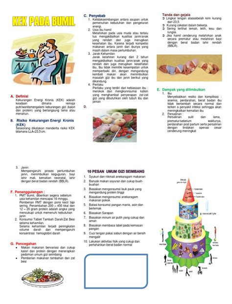 Leaflet Ibu Hamil Dengan Kek Pdf