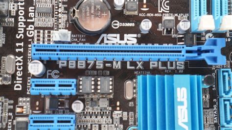 Asus P B M Lx Plus Intel B Sata Gb S Usb Lga Atx