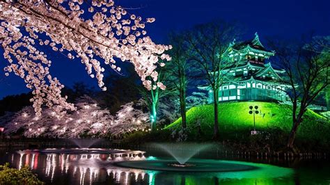 【高田城址公園】2023年「観桜会」開催！日本三大夜桜は必見 Skyticket 観光ガイド