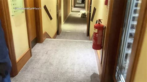 Creator Sex Videos Von Hotwiferachel Kostenloser Sex Xhamster