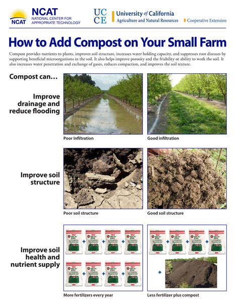 How To Add Compost On Your Small Farm Attra Sustainable Agriculture