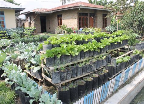 Cara Memanfaatkan Pekarangan Rumah Menjadi Sumber Penghasilan. - Munaz ...