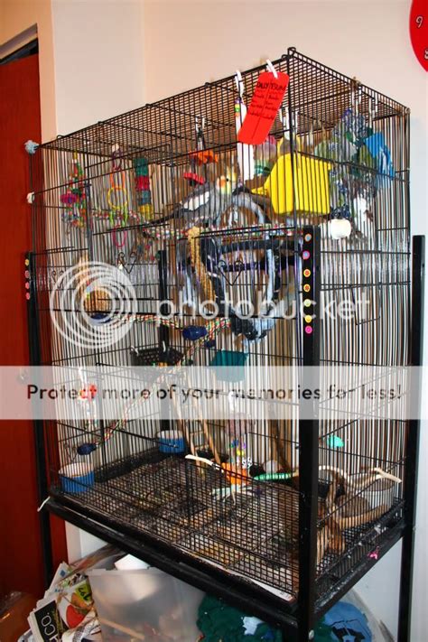 Tiels New Set Ups Parrot Forums Talkparrots