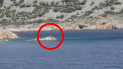 5 Mermaids Caught On Camera And Spotted In Real Life