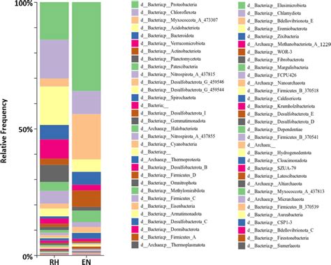 Taxa Barplot Presenting The Relative Abundance Of Bacteria Phyla Found