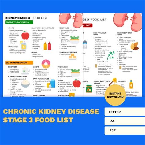 Renal Nutrition Guidelines Pocket Guide To Chronic Kidney Disease And