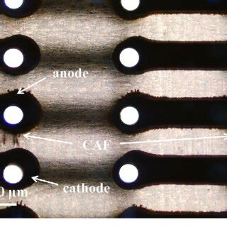 Backlit Optical Microscopy Image Of A Test Vehicle Showing CAF