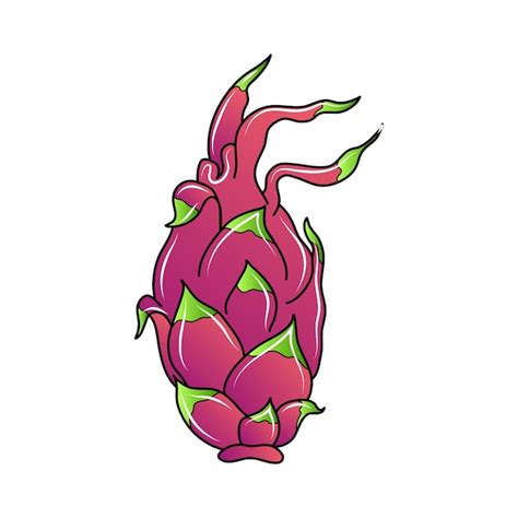 Un Dessin D Une Illustration Vectorielle De Fruit Du Dragon Vecteur