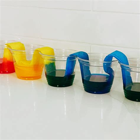 Walking Water Experiment For Kids Sarah Chesworth