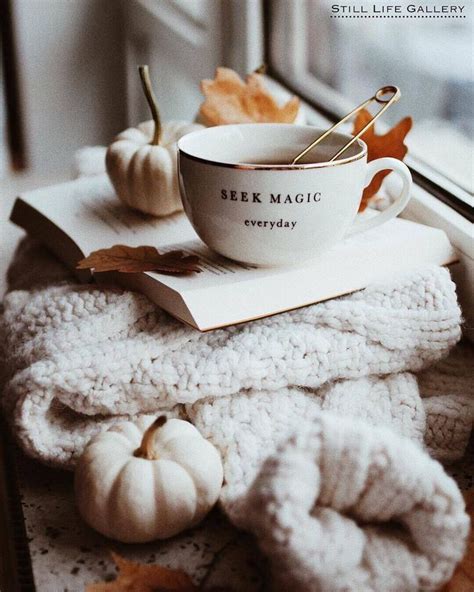 ramblings   obsessive bookworm photo autumn photography autumn