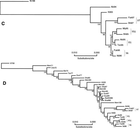 Phylogenetic Analysis Of The Entire Genome Of Influenza A H3n2