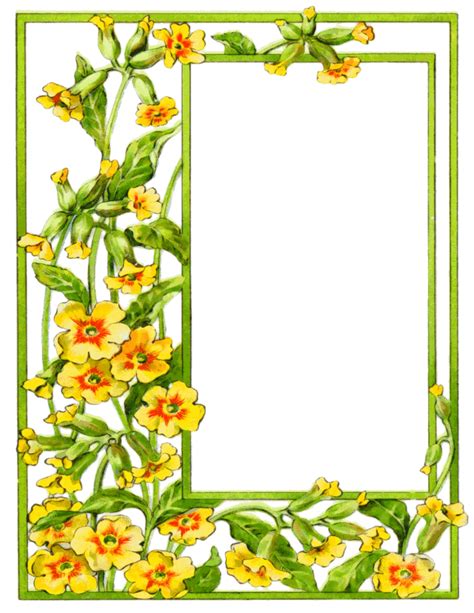 Flower Frames And Borders Clip Art