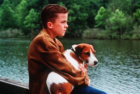 The 25 Best Dog Movies of All Time | Woman's World