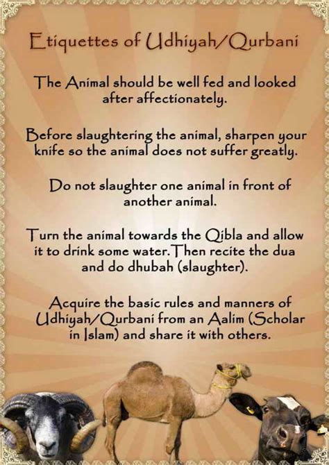 Lessons in Islam: Qurbani - Sacrifice in Islam