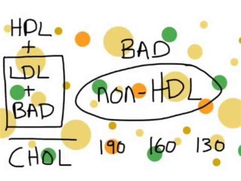 Lipid Panel Chart