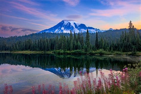 reflection lake summer flowers  mount rainier photo print prints