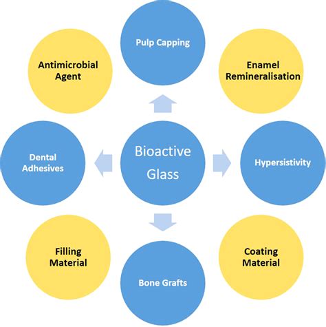 Bioactive glass applications in dentistry | Download Scientific Diagram