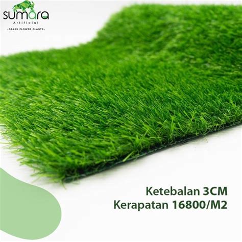 Jual Karpet Rumput Sintetis Palsu Plastik Swiss Cm X M Harga