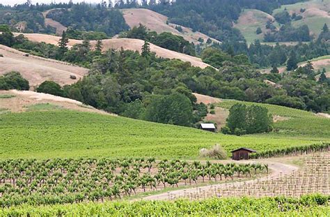 Anderson Valley Vineyards and Wineries - Wine Country Getaways