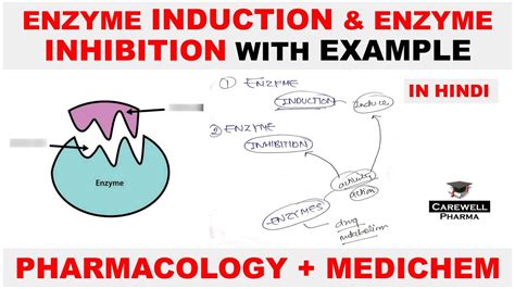 Enzyme Induction Enzyme Inhibition Pharmacology Medicinal Chemistry Carewell Pharma