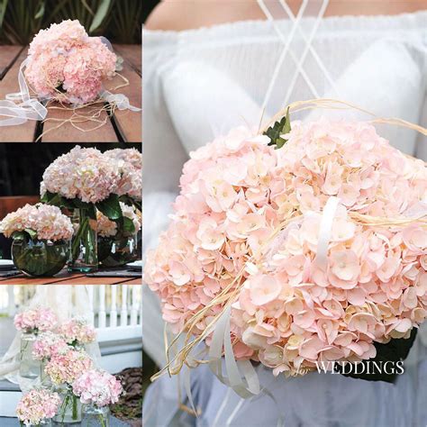 Hydrangea, Bridal Pink (15 stems) - Sam's Club | Hydrangeas bridal
