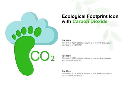 Ecological Footprint Icon With Carbon Dioxide Templates Powerpoint Presentation Slides