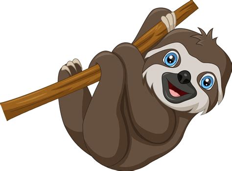 Baby Sloth Cartoon