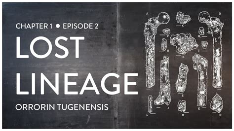 Lost Lineage Orrorin Tugenensis Feat Lindsay Nikole YouTube