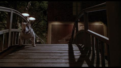 Babe Pig In The City 1998 Screencap Fancaps