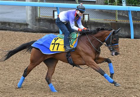 凱旋門賞の登録馬発表 日本からはスルーセブンシーズ、サリエラ、ドゥラエレーデの3頭 競馬ニュース Netkeiba