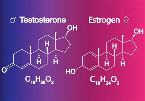 The Benefits Of Testosterone In Female HRT The Mens Health Clinic