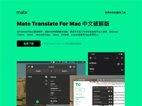 Mate Translate 813 中文破解版（优秀好用的实时翻译工具） 优社uther