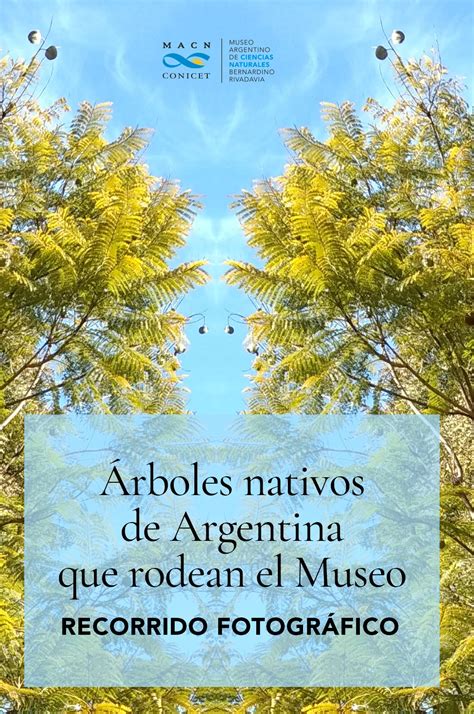 Árboles nativos de Argentina que rodean el Museo Museo Ciencias Naturales