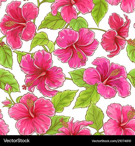 Hibiscus Flowers Pattern Royalty Free Vector Image