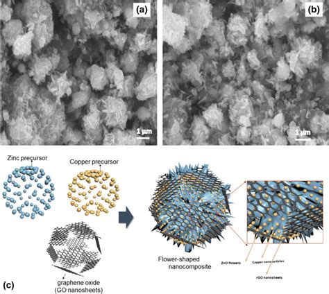 A B Sem Images Of The Rgo Zno Nanorods Cu Nanocomposite At Different